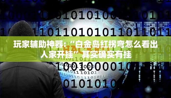 玩家辅助神器:“白金岛红拐弯怎么看出人家开挂”其实确实有挂