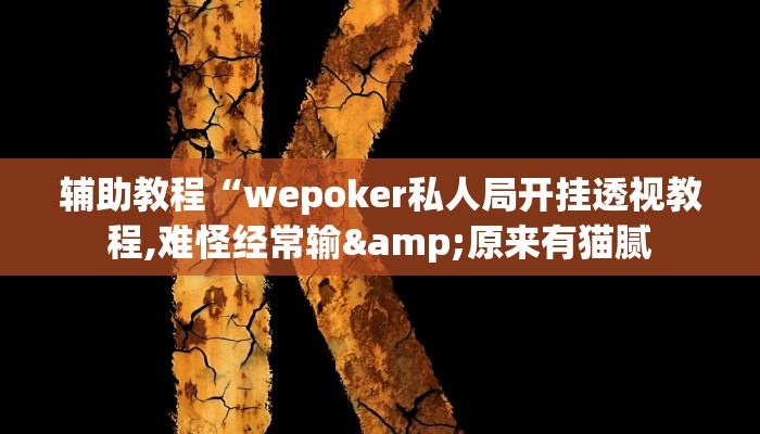 玩家辅助神器:“wepoker德州开挂辅助”开挂详细教程