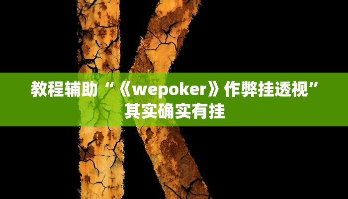 教程辅助“《wepoker》作弊挂透视”其实确实有挂