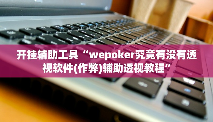 开挂辅助工具“wepoker究竟有没有透视软件(作弊)辅助透视教程”