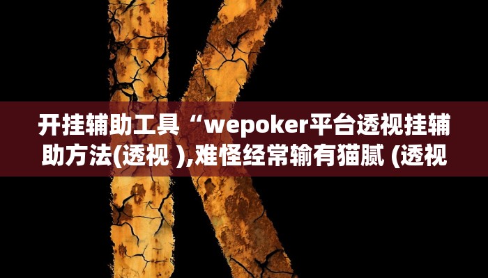 开挂辅助工具“wepoker平台透视挂辅助方法(透视 ),难怪经常输有猫腻 (透视)