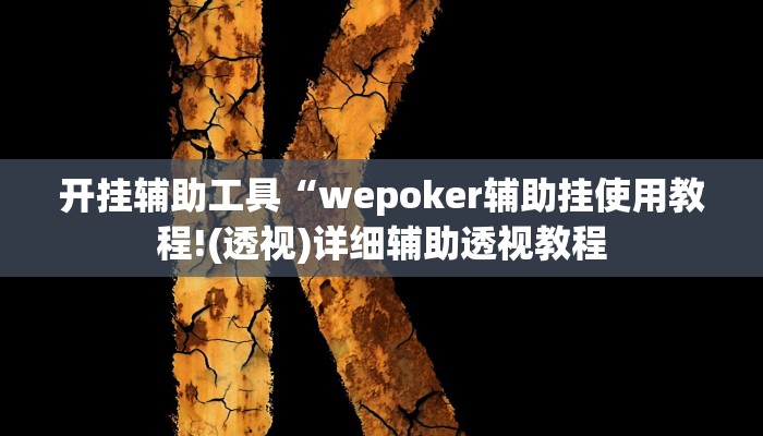 开挂辅助工具“wePoker透视挂破解版(透视 )!详细教程透视方法