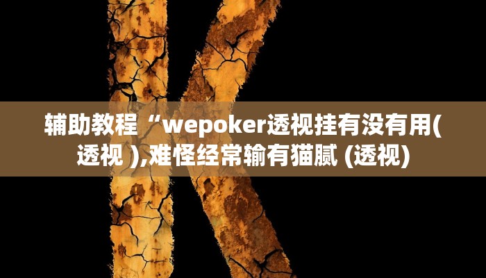 辅助教程“wepoker透视挂有没有用(透视 ),难怪经常输有猫腻 (透视)