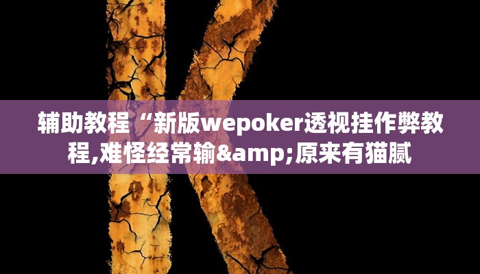 辅助教程“新版wepoker透视挂作弊教程,难怪经常输&原来有猫腻