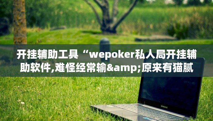 开挂辅助工具“wepoker私人局开挂辅助软件,难怪经常输&原来有猫腻