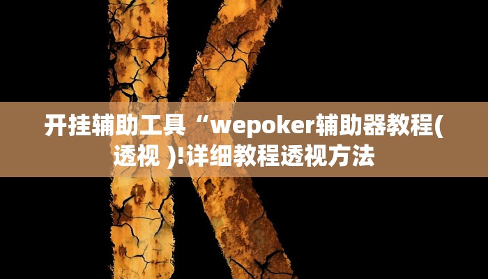 开挂辅助工具“wepoker辅助器教程(透视 )!详细教程透视方法