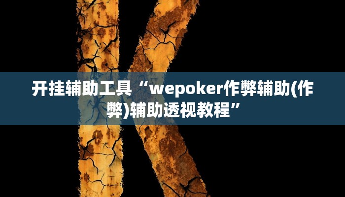 开挂辅助工具“wepoker作弊辅助(作弊)辅助透视教程”