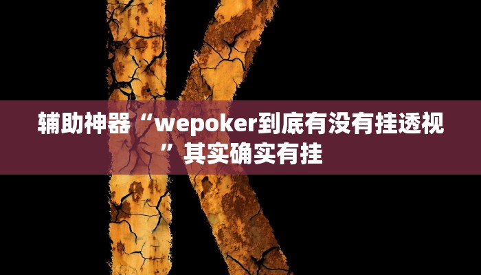 辅助神器“wepoker到底有没有挂透视”其实确实有挂