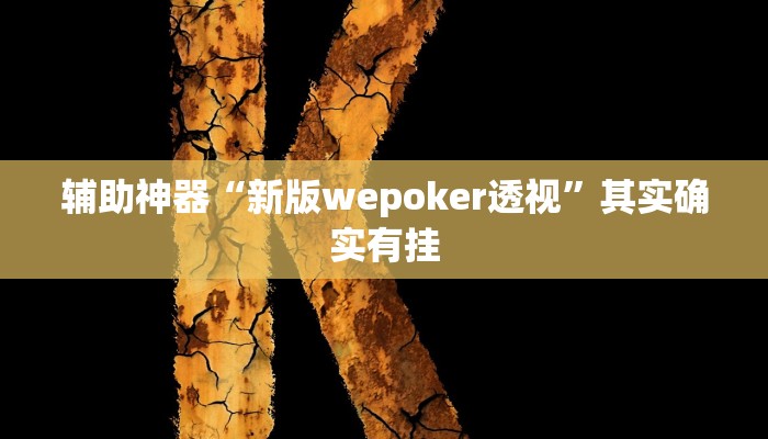 辅助神器“新版wepoker透视”其实确实有挂