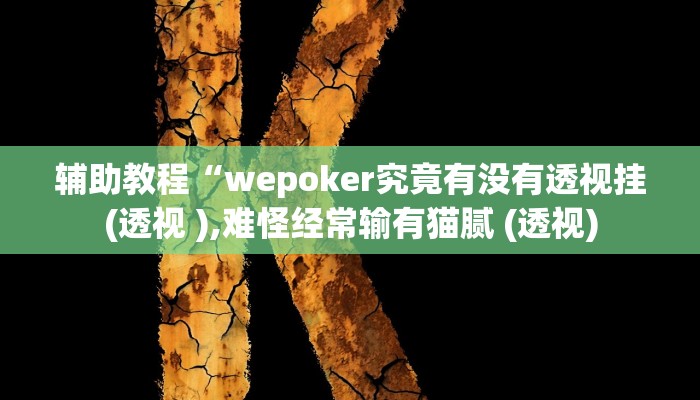 辅助教程“wepoker究竟有没有透视挂(透视 ),难怪经常输有猫腻 (透视)