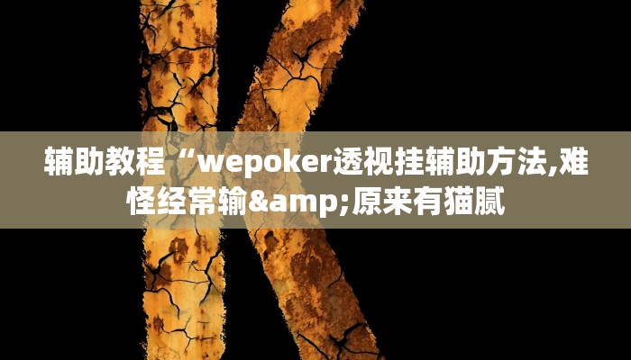 辅助教程“wepoker透视挂辅助方法,难怪经常输&原来有猫腻