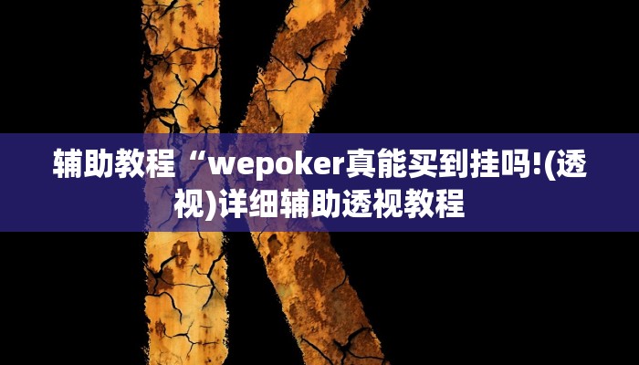 开挂辅助工具“wepokerplus辅助(透视 ),难怪经常输有猫腻 (透视)