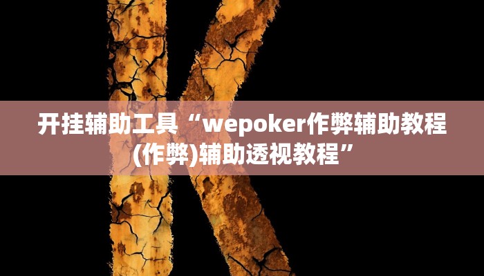 开挂辅助工具“wepoker作弊辅助教程(作弊)辅助透视教程”