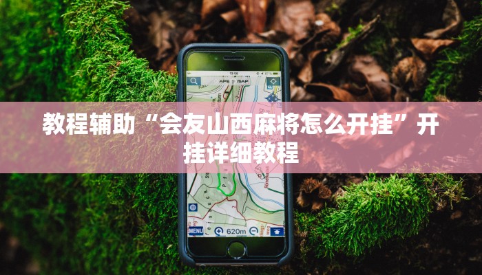 教程辅助“会友山西麻将怎么开挂”开挂详细教程