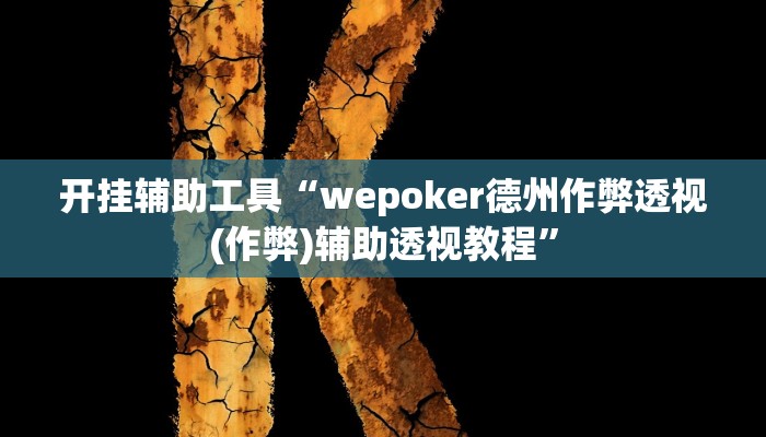 开挂辅助工具“wepoker德州作弊透视(作弊)辅助透视教程”