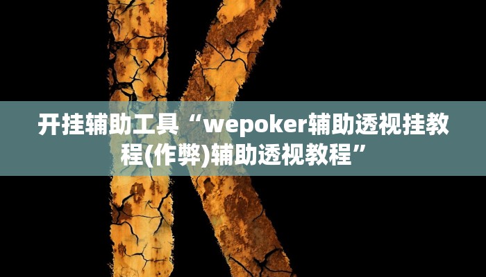 开挂辅助工具“wepoker辅助透视挂教程(作弊)辅助透视教程”
