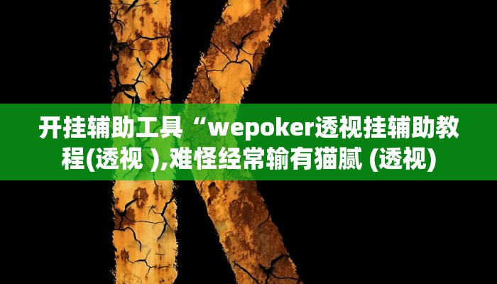 开挂辅助工具“wepoker透视挂辅助教程(透视 ),难怪经常输有猫腻 (透视)