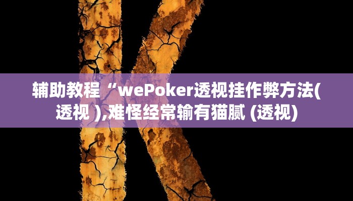 辅助教程“wePoker透视挂作弊方法(透视 ),难怪经常输有猫腻 (透视)