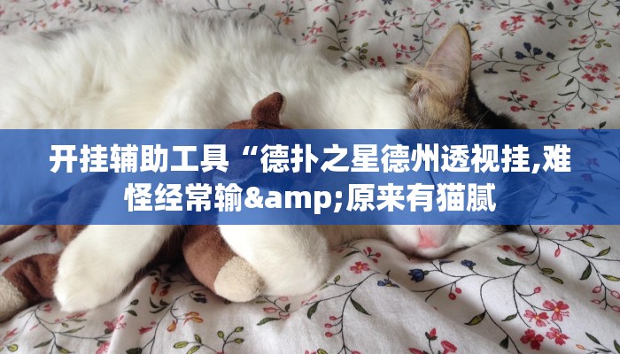 开挂辅助工具“德扑之星德州透视挂,难怪经常输&原来有猫腻