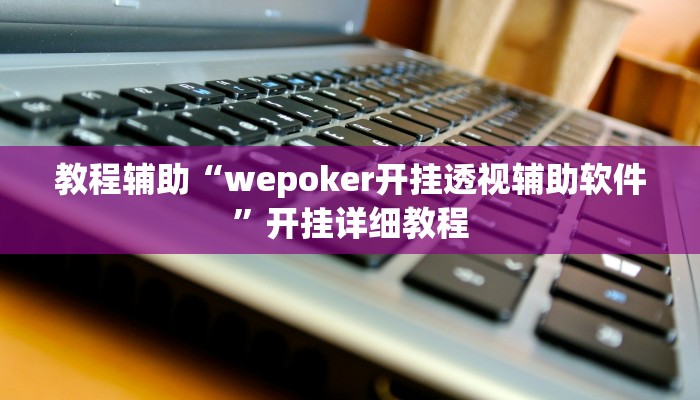开挂辅助工具“wepoker辅助透视挂软件(透视 ),难怪经常输有猫腻 (透视)