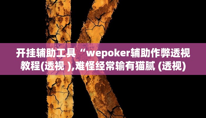 开挂辅助工具“wepoker辅助作弊透视教程(透视 ),难怪经常输有猫腻 (透视)