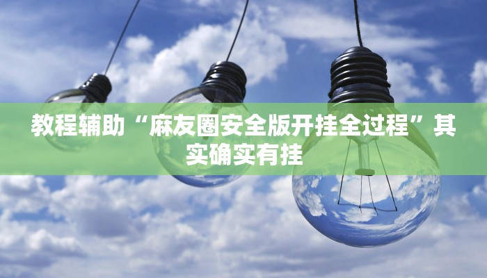 教程辅助“麻友圈安全版开挂全过程”其实确实有挂