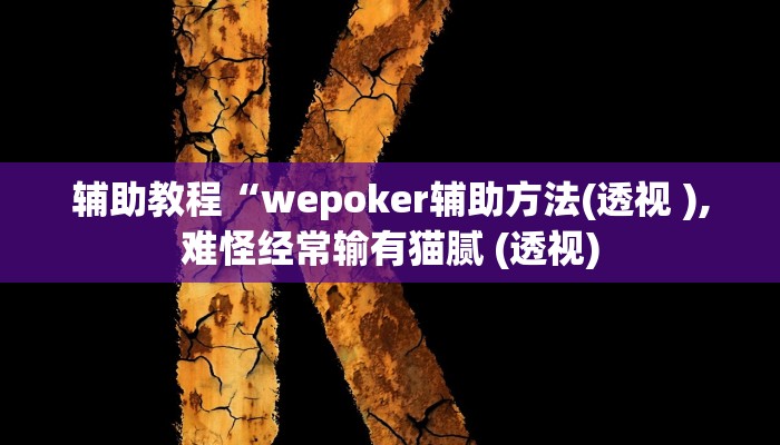 辅助教程“wepoker辅助方法(透视 ),难怪经常输有猫腻 (透视)