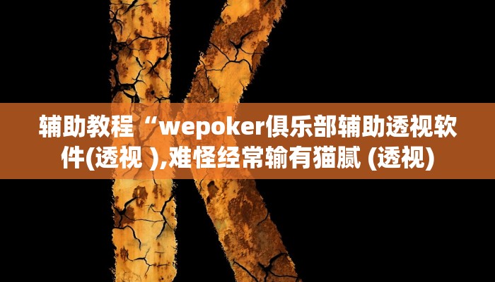 辅助教程“wepoker俱乐部辅助透视软件(透视 ),难怪经常输有猫腻 (透视)
