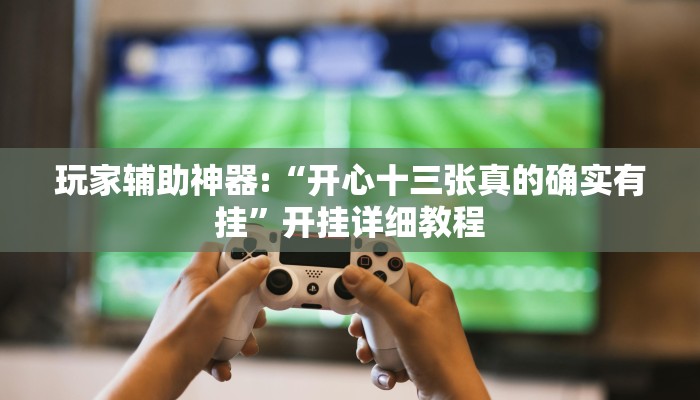 玩家辅助神器:“开心十三张真的确实有挂”开挂详细教程