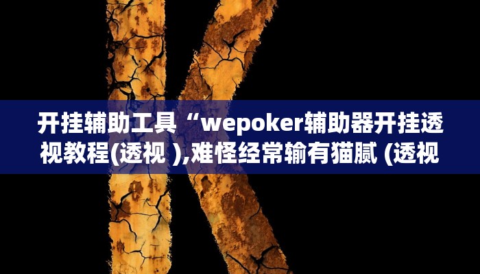 开挂辅助工具“wepoker辅助器开挂透视教程(透视 ),难怪经常输有猫腻 (透视)