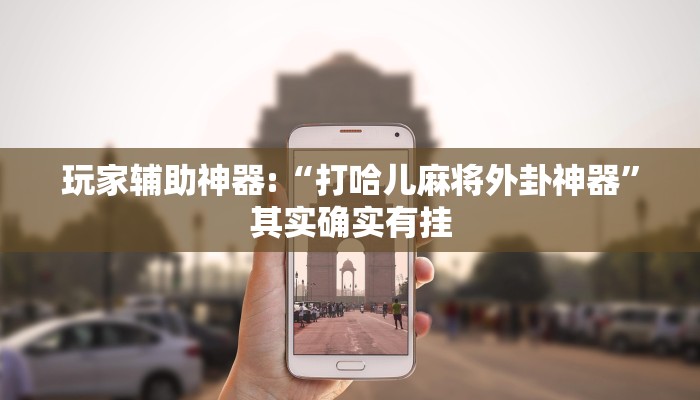 玩家辅助神器:“打哈儿麻将外卦神器”其实确实有挂