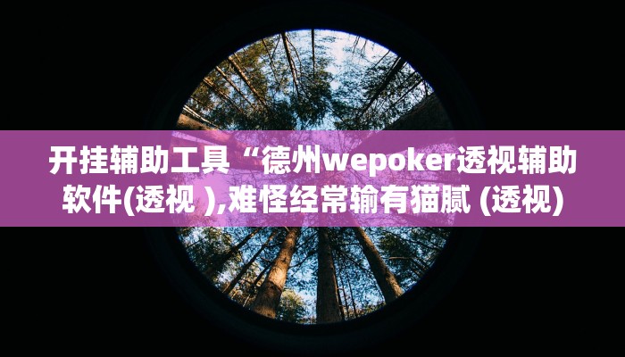 开挂辅助工具“德州wepoker透视辅助软件(透视 ),难怪经常输有猫腻 (透视) 开挂辅助工具“德州wepoker透视辅助软件(透视 ),难怪经常输有猫腻 (透视)