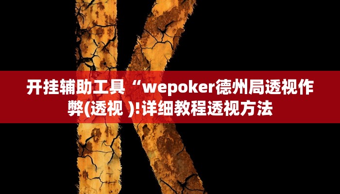 开挂辅助工具“wepoker德州局透视作弊(透视 )!详细教程透视方法