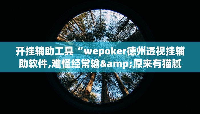 开挂辅助工具“wepoker德州透视挂辅助软件,难怪经常输&原来有猫腻