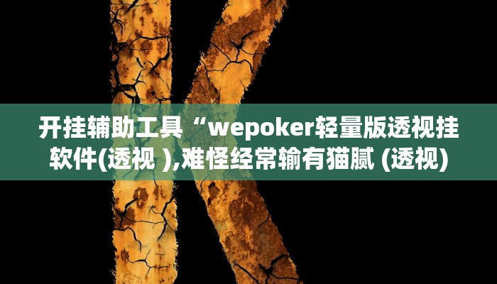 开挂辅助工具“wepoker轻量版透视挂软件(透视 ),难怪经常输有猫腻 (透视)