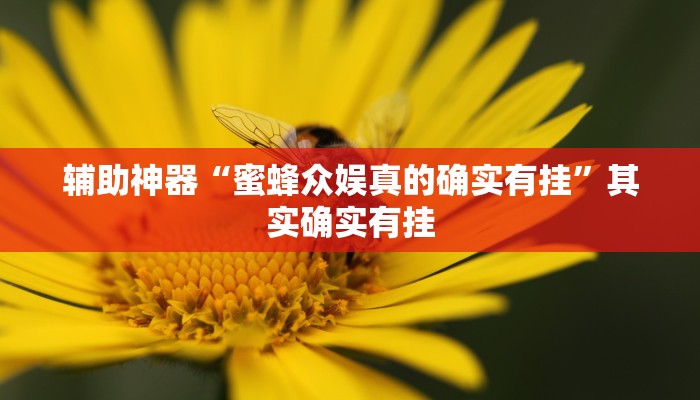 辅助神器“蜜蜂众娱真的确实有挂”其实确实有挂