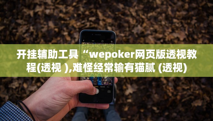 开挂辅助工具“wepoker网页版透视教程(透视 ),难怪经常输有猫腻 (透视)