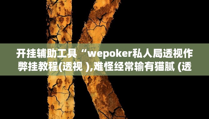 开挂辅助工具“wepoker私人局透视作弊挂教程(透视 ),难怪经常输有猫腻 (透视) 开挂辅助工具“wepoker私人局透视作弊挂教程(透视 ),难怪经常输有猫腻 (透视)