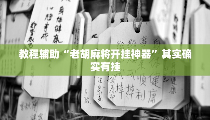 教程辅助“老胡麻将开挂神器”其实确实有挂 教程辅助“老胡麻将开挂神器”其实确实有挂