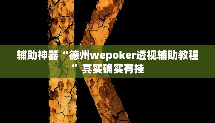 辅助神器“德州wepoker透视辅助教程”其实确实有挂