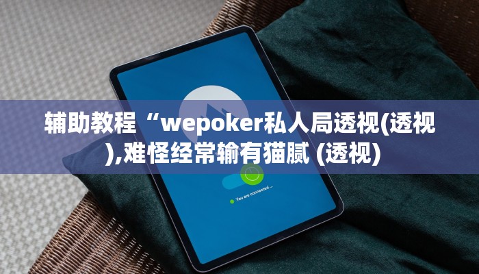 辅助教程“wepoker私人局透视(透视 ),难怪经常输有猫腻 (透视)