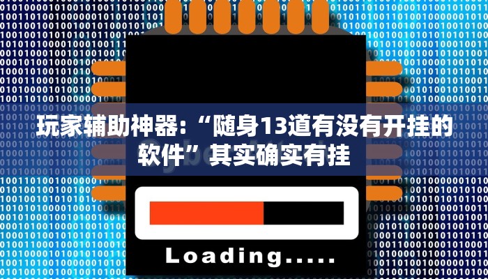 玩家辅助神器:“随身13道有没有开挂的软件”其实确实有挂