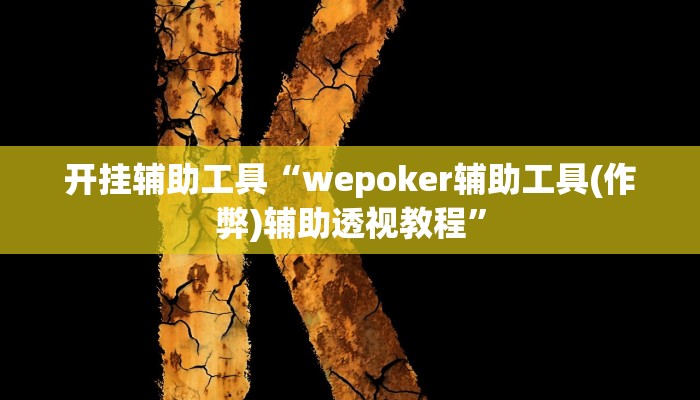 开挂辅助工具“wepoker辅助工具(作弊)辅助透视教程”