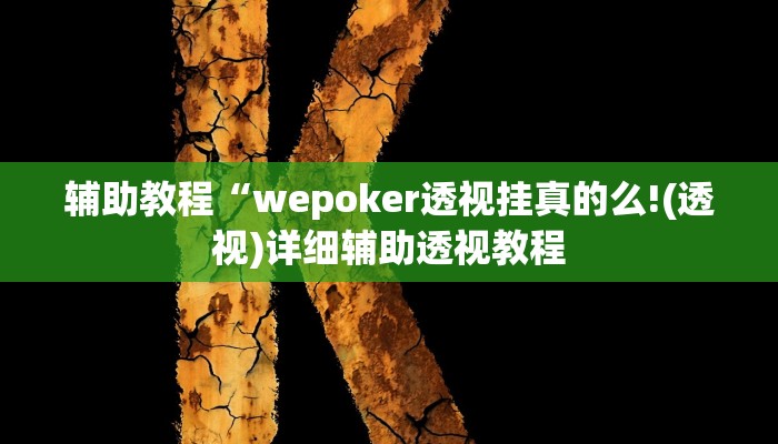 辅助教程“wepoker透视挂真的么!(透视)详细辅助透视教程