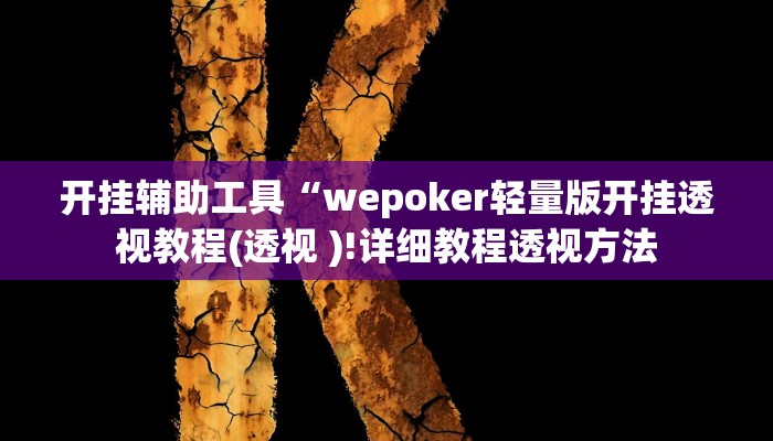 开挂辅助工具“wepoker轻量版开挂透视教程(透视 )!详细教程透视方法