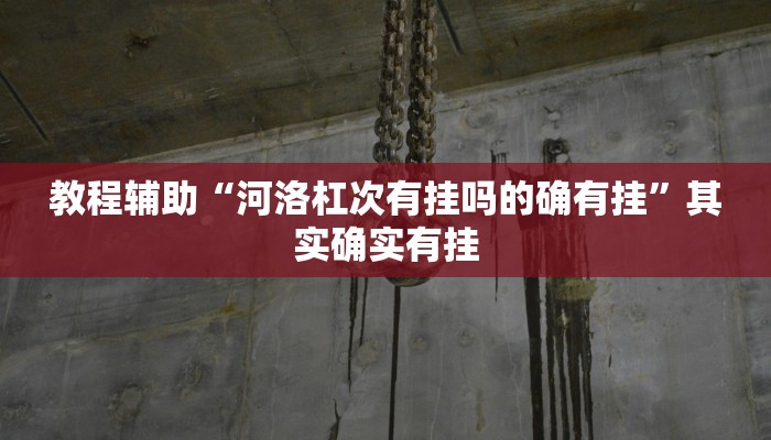 教程辅助“河洛杠次有挂吗的确有挂”其实确实有挂 教程辅助“河洛杠次有挂吗的确有挂”其实确实有挂