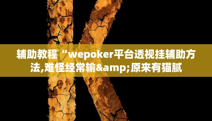 辅助教程“wepoker平台透视挂辅助方法,难怪经常输&原来有猫腻