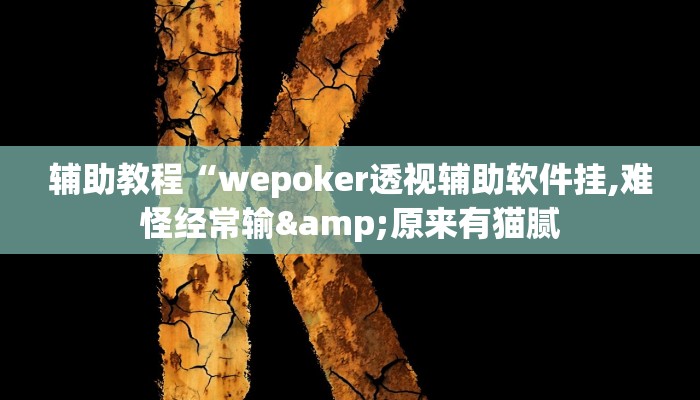 辅助教程“wepoker透视辅助软件挂,难怪经常输&原来有猫腻