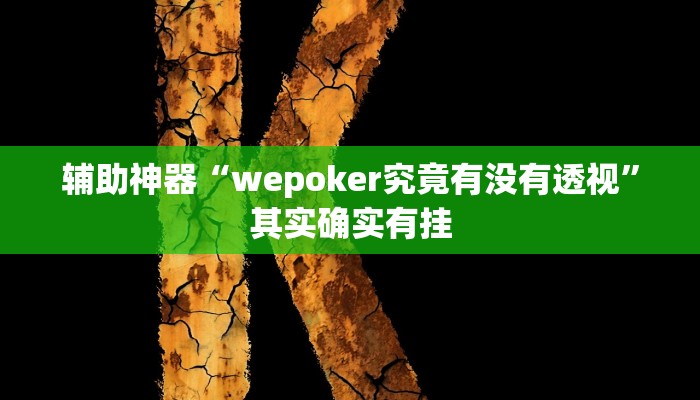 辅助神器“wepoker究竟有没有透视”其实确实有挂
