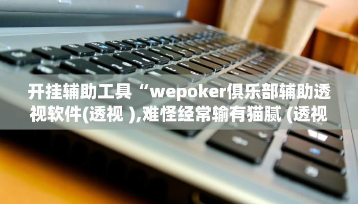 开挂辅助工具“wepoker俱乐部辅助透视软件(透视 ),难怪经常输有猫腻 (透视)